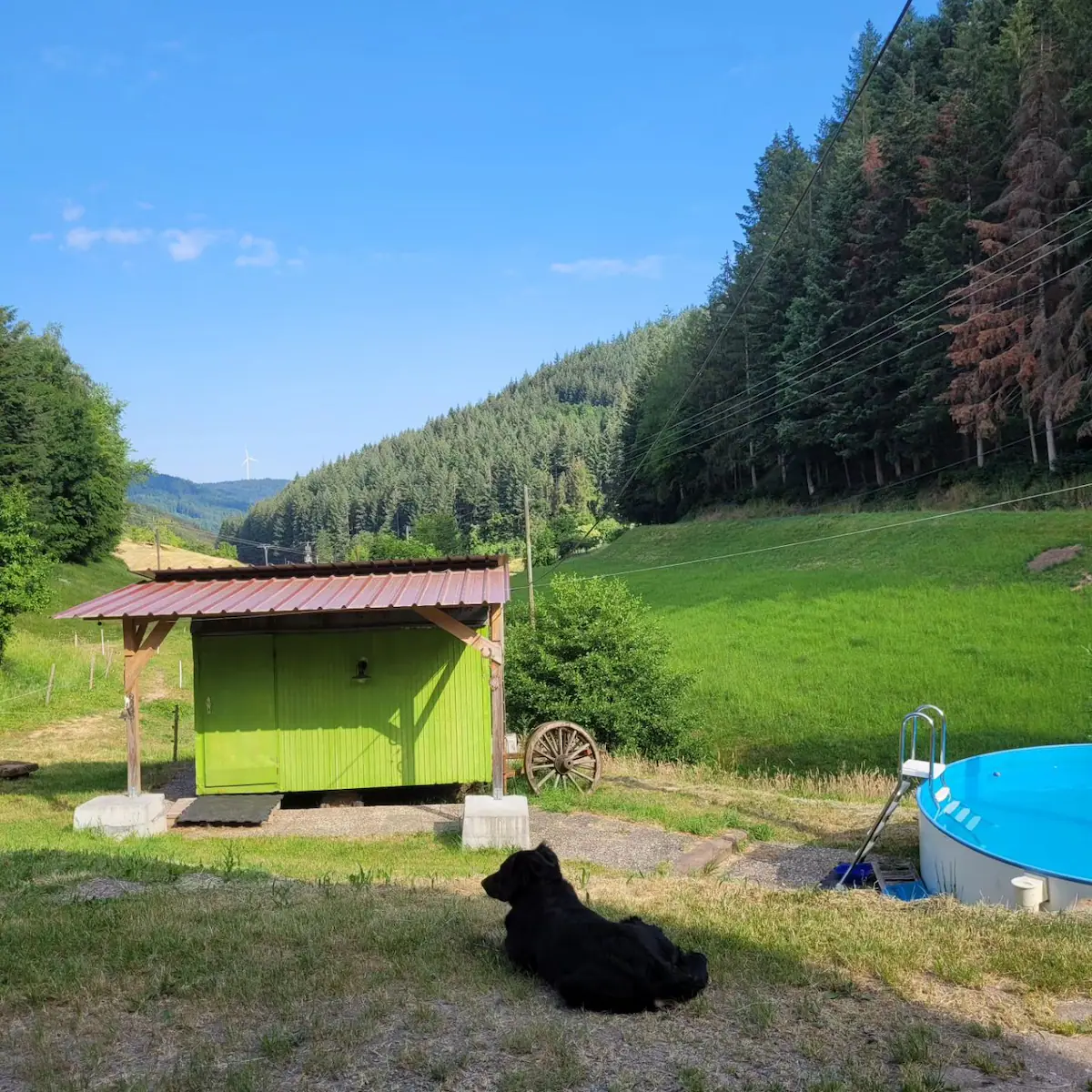 9c48e45c-5efe-4562-94a2-c80e3438e61f